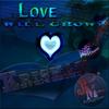 Love Will Grow - Krishan