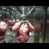 Groupie Love(feat. Tex & Crisco Caliente) (Explicit) - Crisco Caliente&Kingzspade&Tex