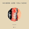 Where Are You Now - Stadiumx