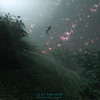 Play Pretend - Griffin Stoller&Son Kuma