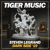 Dark Side (VIP Mix) - Steven Legrand