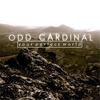 Your Perfect World - Odd Cardinal