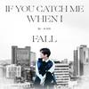 If You Catch Me When I Fall - 毕书尽