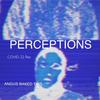 Perceptions - Angus Baked This