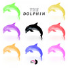 Red Dolphin (Original Mix) - Victor Ward