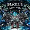 Psychedelic Soul (Buckle Remix) - Buckle&Woodstech