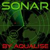 Sonar (Acoustic Epic Mix) - Aqualise