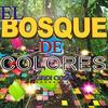 El Bosque de Colores - Jordi Coza