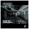 Anderground (Original Mix) - Kaya DJ