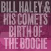 Dim Dim the Lights - Bill Haley&Bill Haley & His Comets