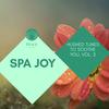 Journey Ends Here (Music For Spiritual Healing) (Original Mix) - Sarika Jain