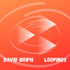 Loopings - David Briph