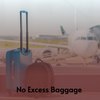 No Excess Baggage - The Fabulous Flakes