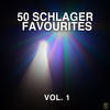 Solange Ich Lebe - Bata Illic&Die Falschen 50er