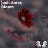 Bloom (Original Mix) - Josh Ames