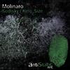 Sodisky (Original Mix) - Molinaro