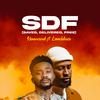 SDF(feat. Limoblaze) - Henrisoul&Limoblaze