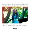 Hope Springs Eternal (Extended Mix) - Terry Gaters