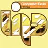 Format (Trilogic Remix) - Cooperated Souls