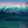 Liminal - Shimo