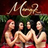 Merak (feat. Merak, Gloria Quiceno, Alboreal Música & La Jarana) - Alonso Villa Vargas&Merak&Gloria Quiceno&Alboreal Música&La Jarana