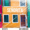 Señorita - Nate VanDeusen&MHooFD