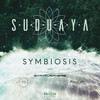 Brise de Vie (Original Mix) - I.M.D&Suduaya
