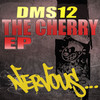 Nasty Sixteen (Original Mix) - DMS12