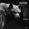 Gray Wolf (Original Mix) - Berlanga