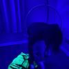Navy (Explicit) - Almighty.Gwapo