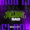 Melodia Sad (Explicit) - MC ZL&MC Tavinho JP&Gustavo Aguiar&DJ Guh mdk&Otavio Henrique Neves Silva&Bruno Pereira dos Santos Camilo&GDZN