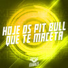 Hoje os Pit Bull Que Te Maceta (Explicit) - MC GW&Mc RS&Dj Cleber&MC Jhey