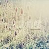 Interference - r.roo