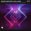 No More Chances(If You Really Love Somebody) (ManyFew Remix) - Wilson&ManyFew&Kelli-Leigh