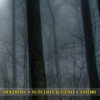 Paralysis (Hypnopompic Mix) - Merzbow&Sutcliffe Jugend&Satori