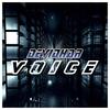 The Voice (Radio Edit) - DevidHar