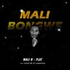 Malibongwe - Mali B-flat&Crystal Sky&Complicated