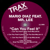 Can You Feel It (New York Mix) - Mario Diaz&Mr. Lee