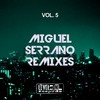The Groove (Miguel Serrano Remix) - Mountain P