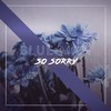 So Sorry - Blue Man