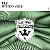 Mystery Voice (Original Mix) - Elv