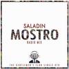 Mostro (Radio Mix) - Saladin