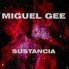 Sustancia - Miguel Gee