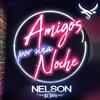 Amigos por una Noche - Nelson El Toro