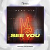 See You (Ivan Summer Remix) - Papa Tin