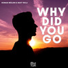 Why Did You Go - Roman Müller&Matt Wills