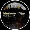 Black Widow (Original Mix) - The Sahoo Conection