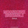 Promises - Moonshine Ensemble