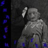 Shapeshifter (Explicit) - Joost Hoekaf