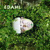 Edahi - Edahi